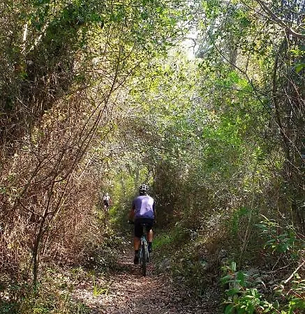 Quinta Pedra Dos Bicos