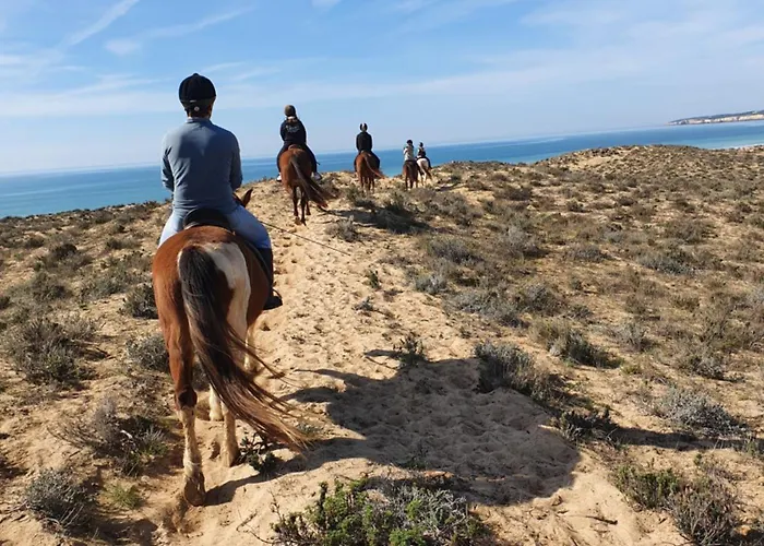 Quinta Pedra Dos Bicos Lägenhetshotell Albufeira