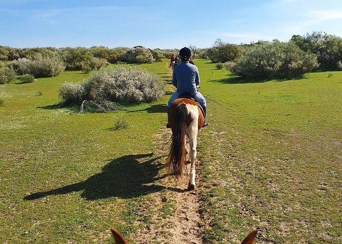 Quinta Pedra Dos Bicos 4* Αλμπουφέιρα