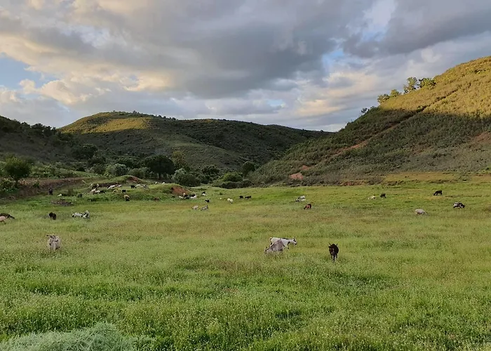 Quinta Pedra Dos Bicos