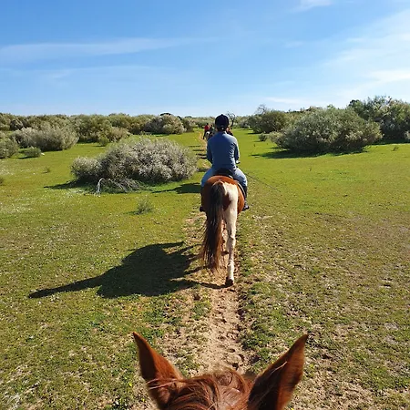 Quinta Pedra Dos Bicos 4* Albufeira