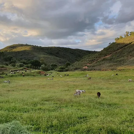 Quinta Pedra Dos Bicos